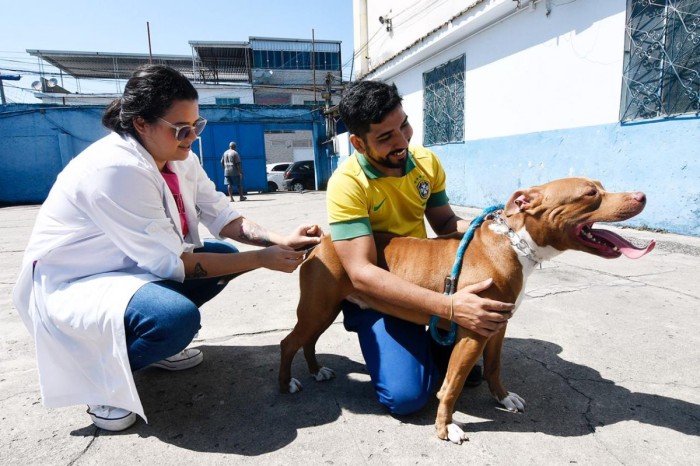 Campanha de Vacinação antirrábica em Nova Iguaçu vai acontecer pelos próximos cinco sábados
