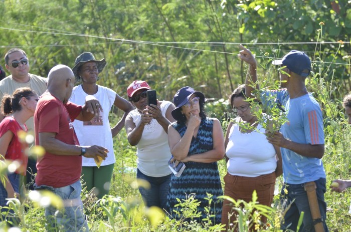 Secretaria de Agricultura e Meio Ambiente de Nova Iguaçu estimula a produção de hortas domésticas