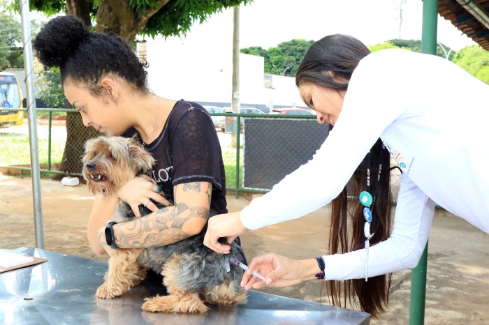 Cuidados com a raiva: por que é importante vacinar seu pet?