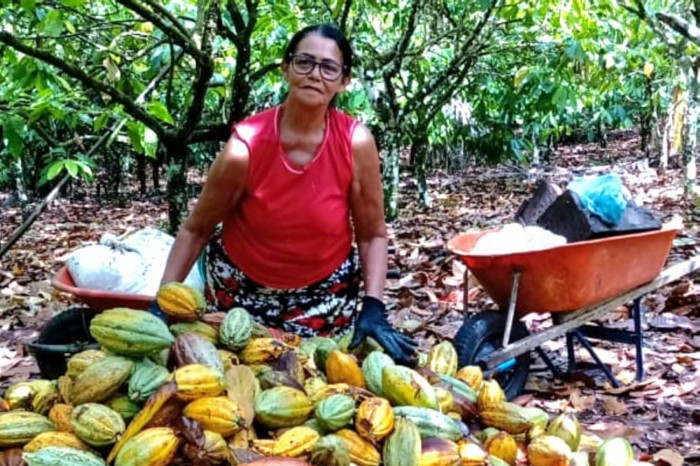 Emater irá intensificar ações no campo com políticas voltadas às mulheres produtoras