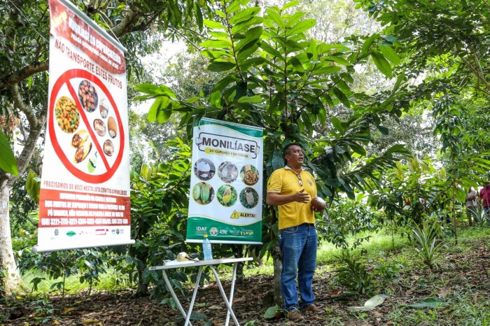 Instituto de Defesa Agropecuária e Florestal promove caravana educativa contra a monilíase 