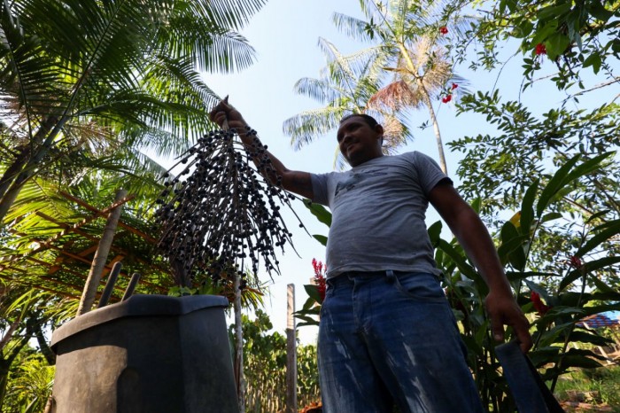 Pará estimula desenvolvimento da agricultura e acesso a direitos aos trabalhadores do campo