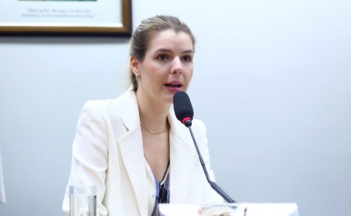 Comissão aprova projeto que isenta cadeira de rodas e aparelho auditivo de IPI