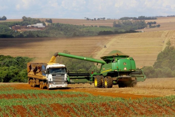 Projeto muda cálculo dos preços mínimos de produtos agrícolas