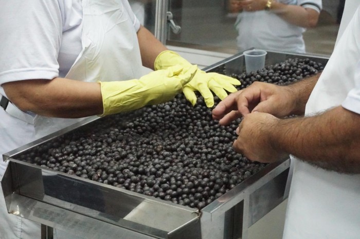 Com degustação e vários produtos, Festival Açaí Pará atrai consumidores e comerciantes ao Hangar 