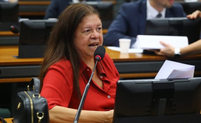 Comissão aprova participação social em plano para enfrentar violência contra mulher