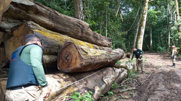 Base Uruará completa dois meses com apreensões e prisões em flagrante