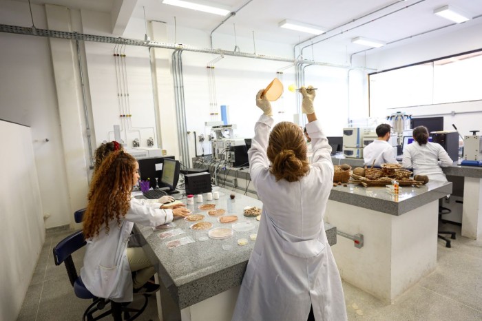 Semas estimula empreendedorismo, inovação e tecnologia para a bioeconomia