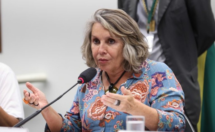 Comissão de Cultura debate a situação do Teatro e da Faculdade Dulcina de Moraes