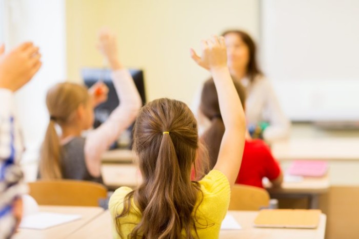 Projeto institui marco legal para Instituições Comunitárias de Educação Básica