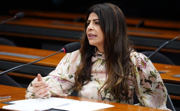 Comissão debate sustentabilidade do mercado brasileiro de carbono