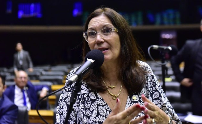 Comissão aprova projeto que pune com prisão quem falsificar obra de arte do patrimônio brasileiro