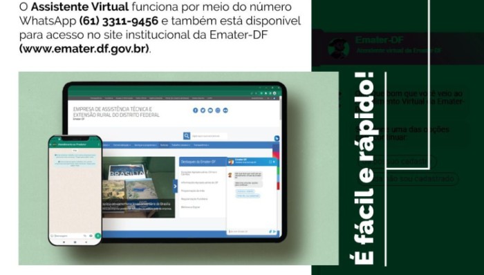 Novo assistente virtual facilita acesso de informações a produtores rurais