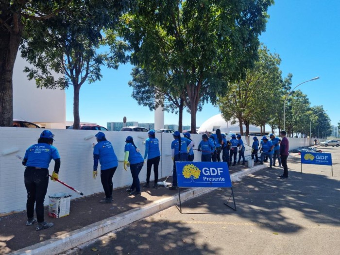 Ministérios e vias N2 e S2 recebem manutenção de poda e pintura