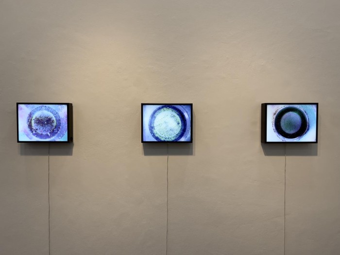 Exposição 'Outros Viajantes' está aberta à visitação na Galeria Ruy Meira
