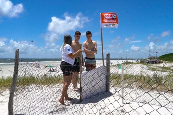 Desova de tartarugas na Praia do Atalaia continua com a proteção do Estado