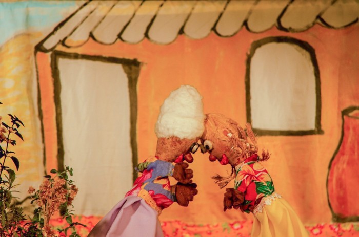 Projeto leva teatro de bonecos para idosos no DF