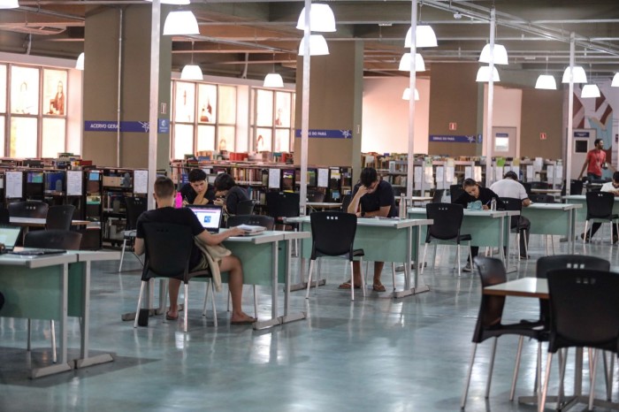 FCP, Ioepa e Uepa reforçam iniciativas que estimulam a leitura