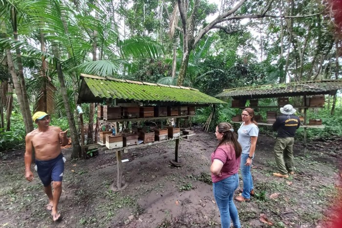 Sudeste recebe atividades do Programa Estadual de Saúde das Abelhas