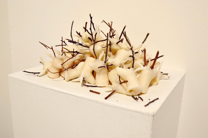Exposição 'Permanência' traz obra premiada à Galeria Theodoro Braga