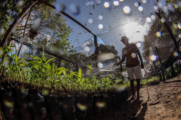 Ideflor-Bio instala viveiro agroflorestal com o apoio de socioeducandos da Fasepa