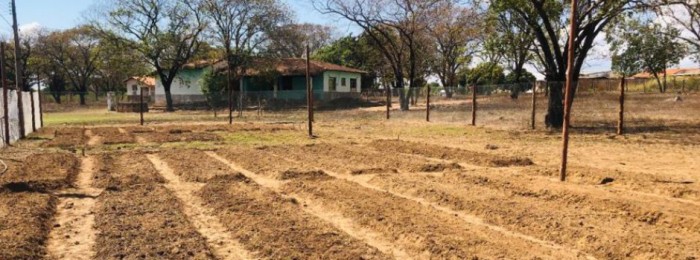 Horta agroecológica da Fundação Caio Martins será instalada em São Francisco