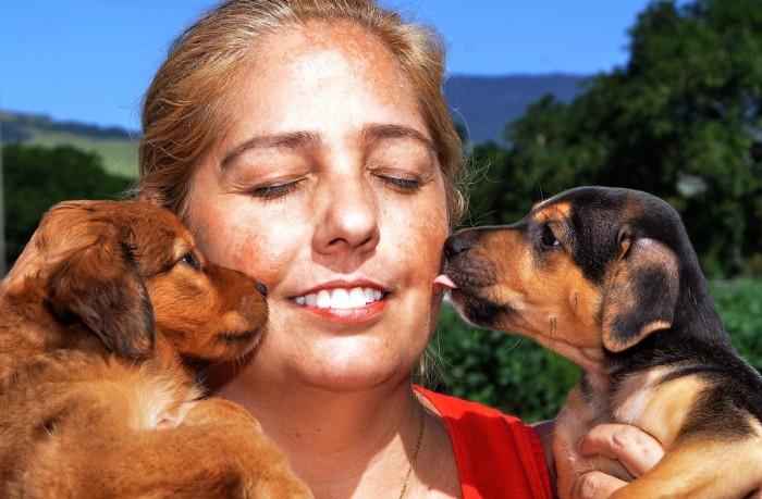 Nova Iguaçu fará feira de adoção de animais no sábado (20)