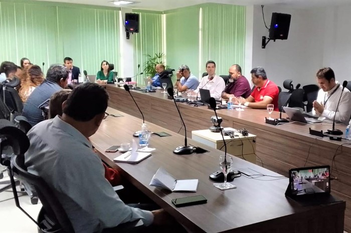 Comitê Gestor do Clima define composição de Câmaras Técnicas e aprova novo regimento