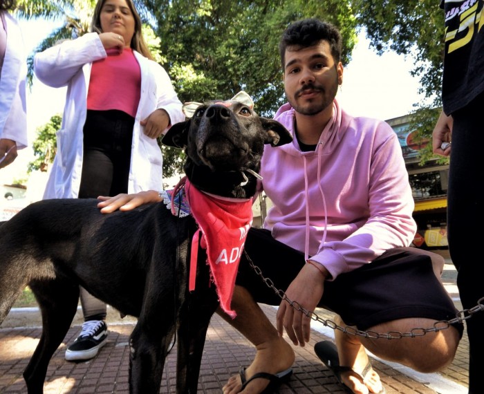 Feira de Adoção de Cães e Gatos da Prefeitura de Nova Iguaçu atrai apaixonados por pets