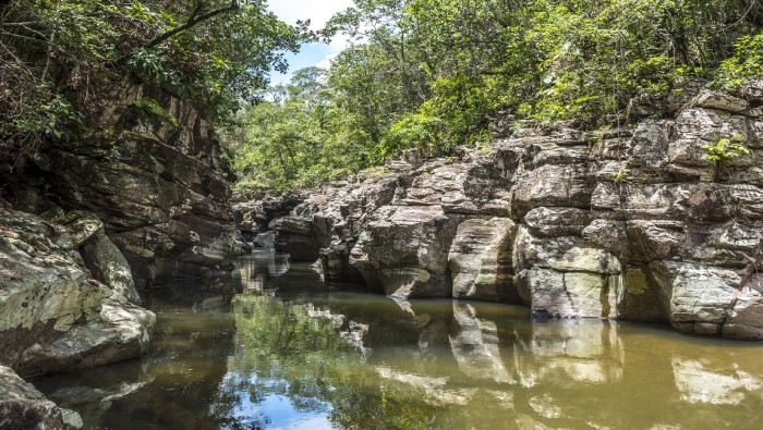 Cerrado: savana brasileira que carrega consigo patrimônios históricos e culturais