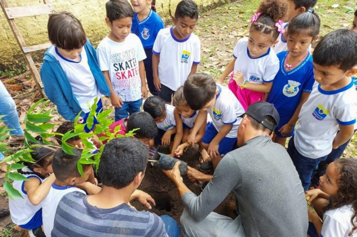 Em Santarém, ação do Ideflor-Bio melhora arborização em escola pública