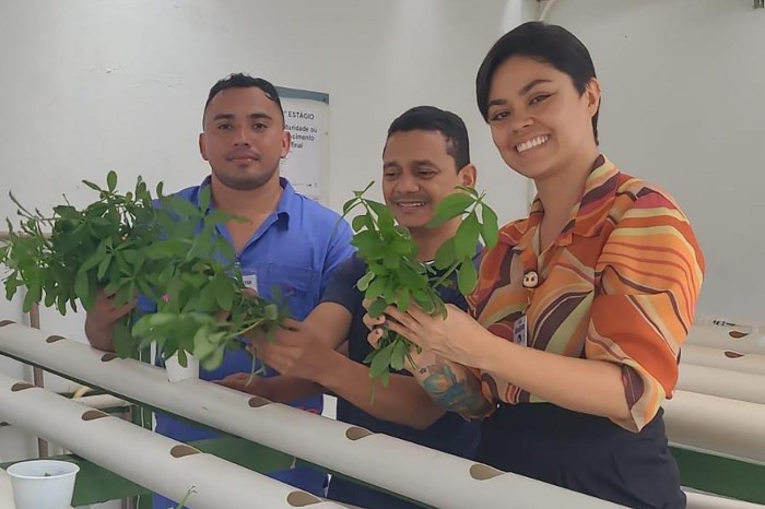 Produção da horta hidropônica do Jean Bitar complementa alimentação de pacientes 