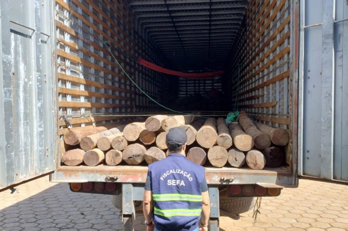 Sefa apreende 150 toras de madeira sem documentação fiscal em Dom Eliseu