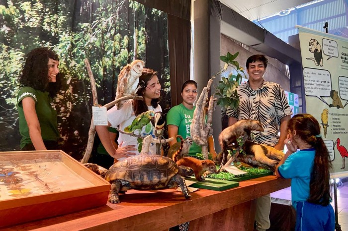 Com exposição sensorial-educativa, Ideflor-Bio celebra Dia do Meio Ambiente