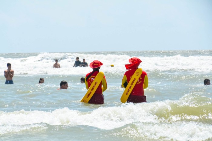 Corpo de Bombeiros alerta e orienta sobre acidentes com animais aquáticos
