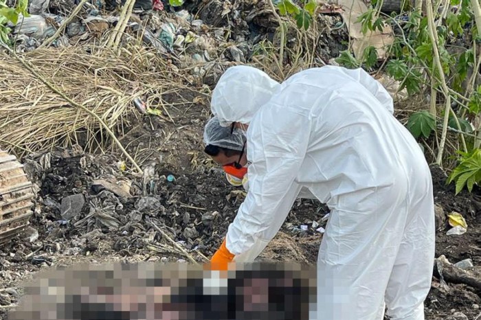 Animal morto em cavalgada passa por exames periciais.