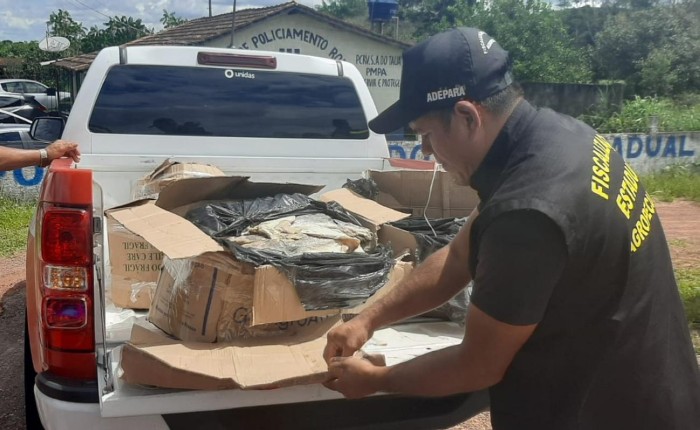 Adepará apreende 200 kg de peixes salgados em Santo Antônio do Tauá, neste sábado (17)