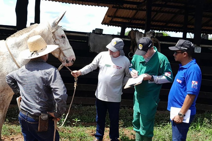 Adepará qualifica servidores, em Capanema e Capitão Poço, para saúde de animais