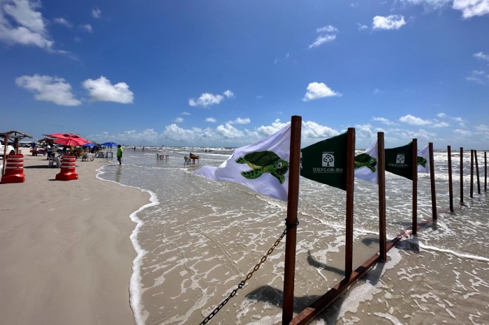 Ideflor-Bio reforça sinalização em área de desova de tartarugas na Praia do Atalaia