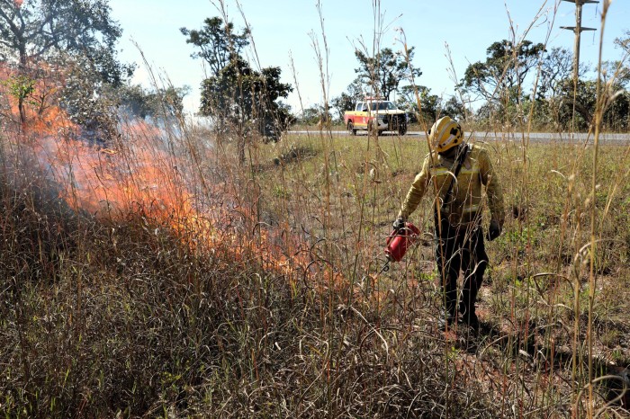 Fogo controlado ajuda a preservar Cerrado contra incêndios florestais