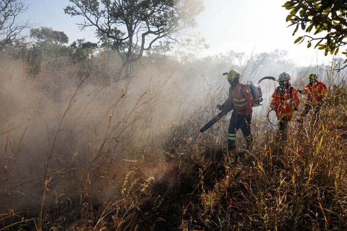 Bombeiros do DF têm capacitação contínua para combater incêndios florestais