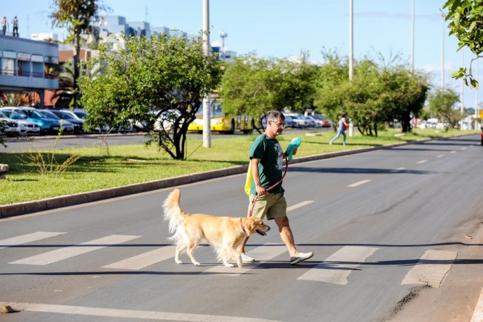Participe de pesquisa inédita sobre cães e gatos no DF