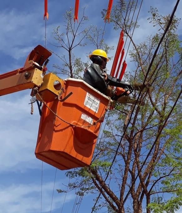 Áreas de Planaltina sem luz nesta segunda para poda de árvores