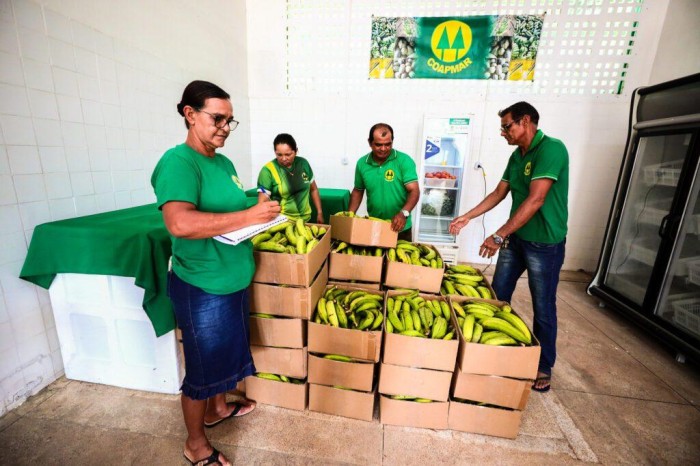 Preme: Governo do Estado beneficia 40 agricultores familiares da cooperativa de Manacapuru