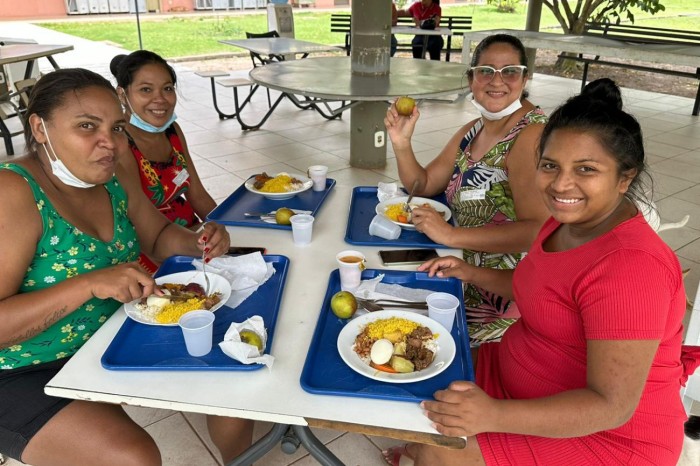 Regional de Santarém mantém nutrição sustentável com horta orgânica 