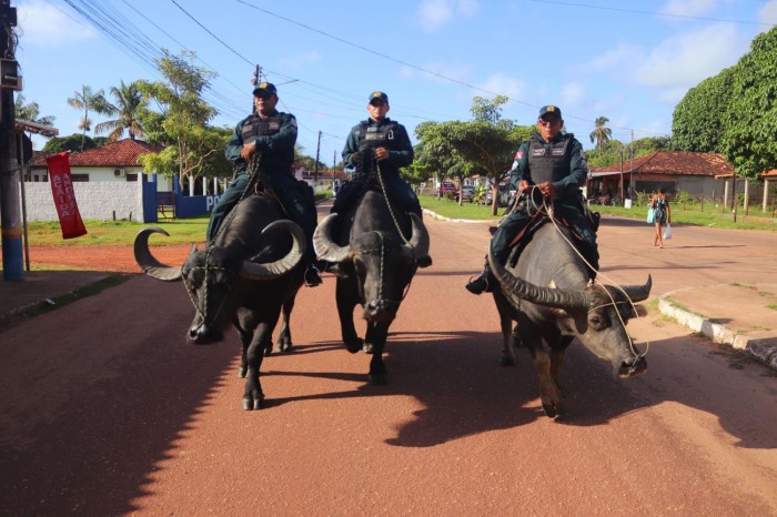 Policiamento diversificado com apoio de búfalos é destaque no Marajó Oriental