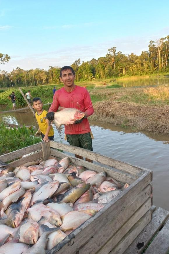 Emater atualiza produtores rurais de Gurupá sobre tecnologias para criação de peixe