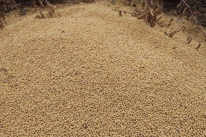 Sedap comprova aumento na exportação de produtos do agronegócio no Pará