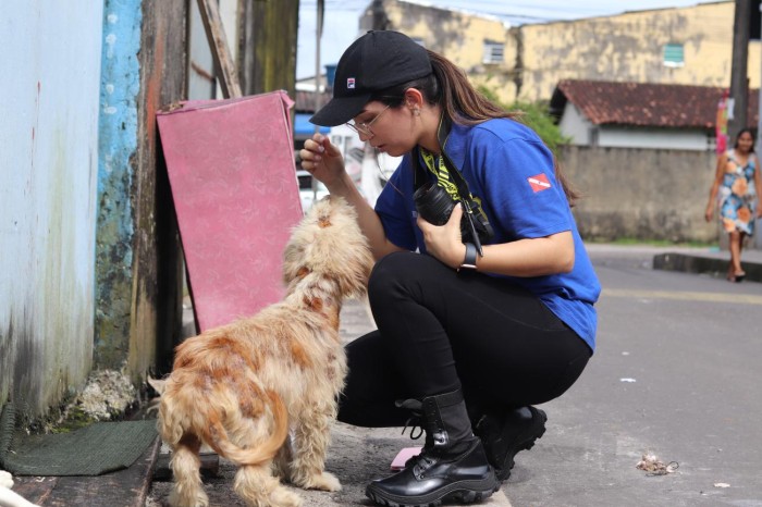 Polícias Civil e Científica vão às ruas apurar denúncias de maus-tratos contra animais