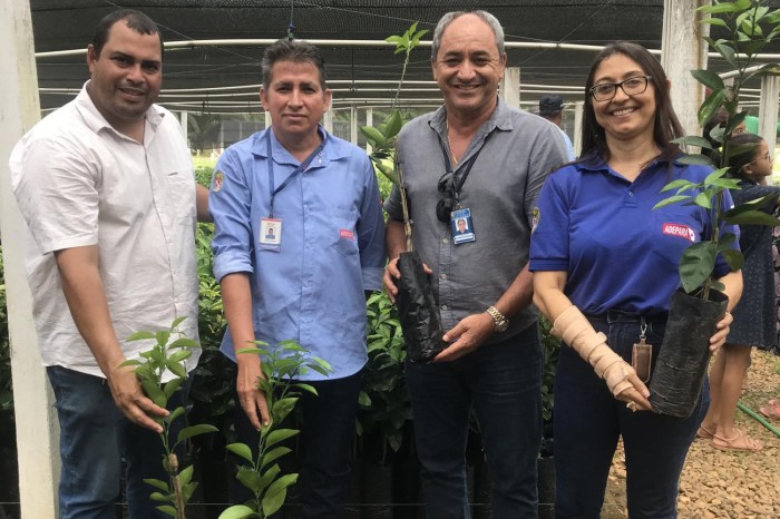 Adepará orienta fruticultores e entrega mudas de citros certificadas em São Félix do Xingu